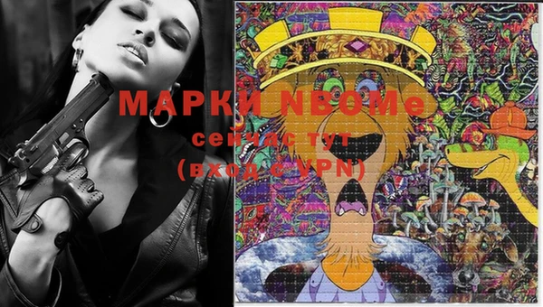 apvp Новодвинск