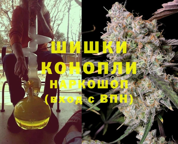 сатива Алексин